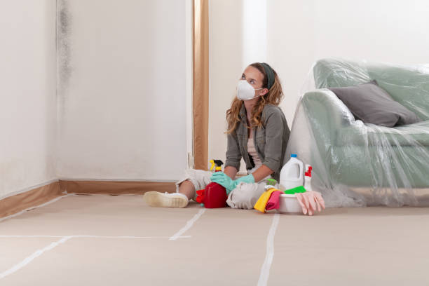 Reliable Basement Mold Remediation contractor in East Lansing, MI by Mold Remediation HQ